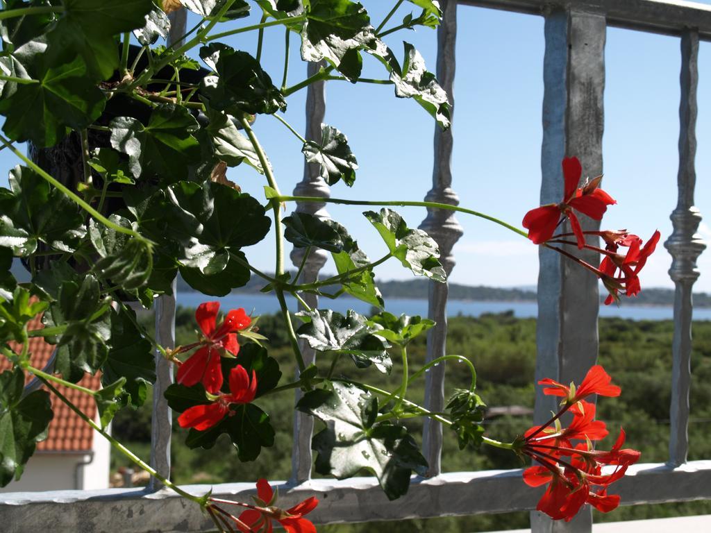 Apartment Arta Vodice Buitenkant foto