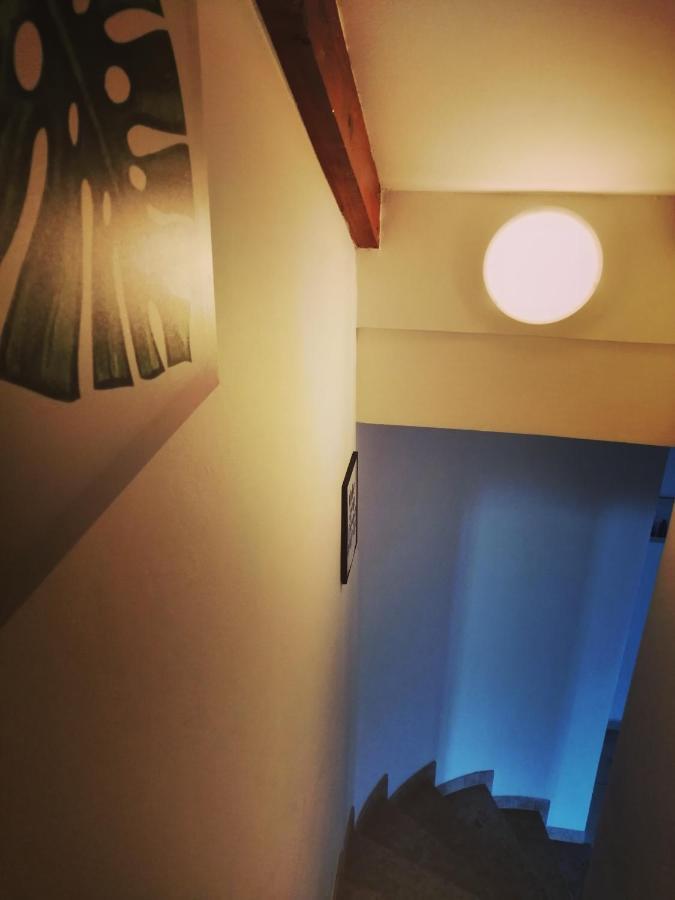 Apartment Arta Vodice Buitenkant foto